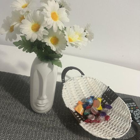 Apartament 2 Camere بايا ماري المظهر الخارجي الصورة